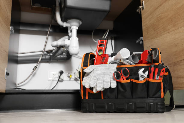 Best Plumbing Inspection Services  in Capac, MI