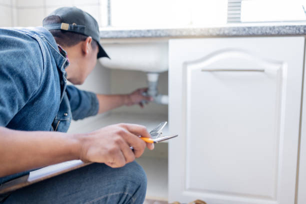 Best Local Plumber Services  in Capac, MI