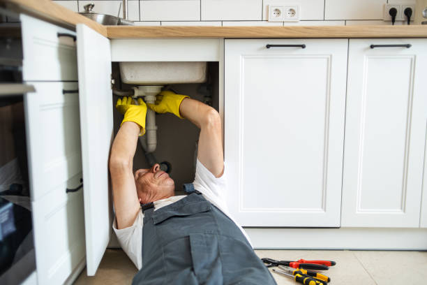 Best Pipe Repair Near Me  in Capac, MI